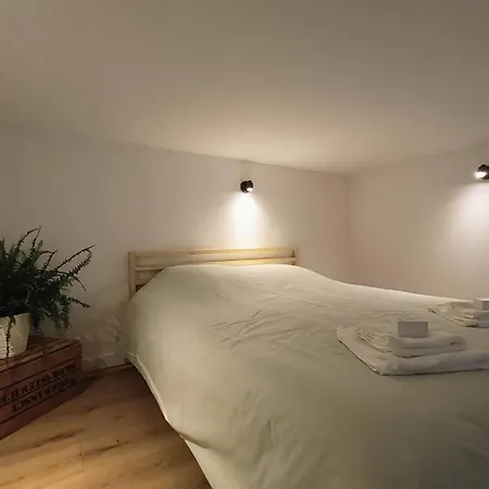 Baroudeur Appartement Ampuis