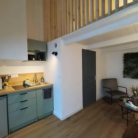 Baroudeur Appartement Ampuis
